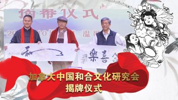 [ID: aOK9tqwr9Gk] Youtube Automatic