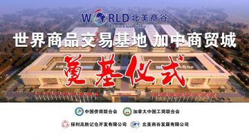 [ID: bgP8–FJ1Gw] Youtube Automatic