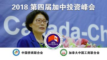 [ID: BnMzCi3vysk] Youtube Automatic