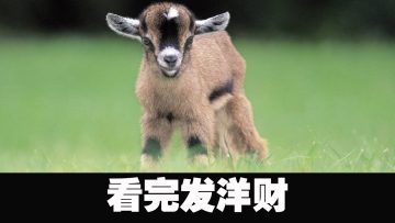 [ID: tgG47PdcywI] Youtube Automatic