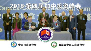 [ID: YUHcq3ciiQI] Youtube Automatic