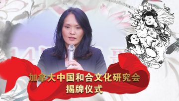 [ID: -ZfZ-5ulAaw] Youtube Automatic